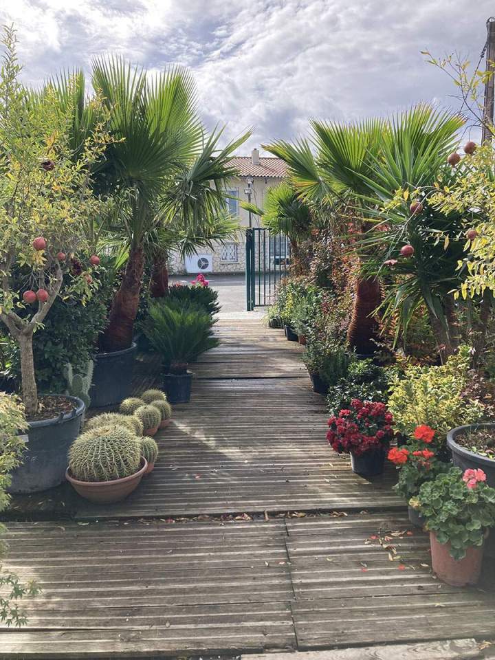 Vente de fleurs Portet-sur-Garonne