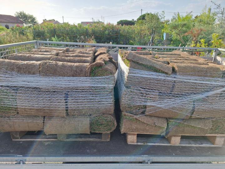Vente rouleaux de gazon naturel Portet-sur-Garonne
